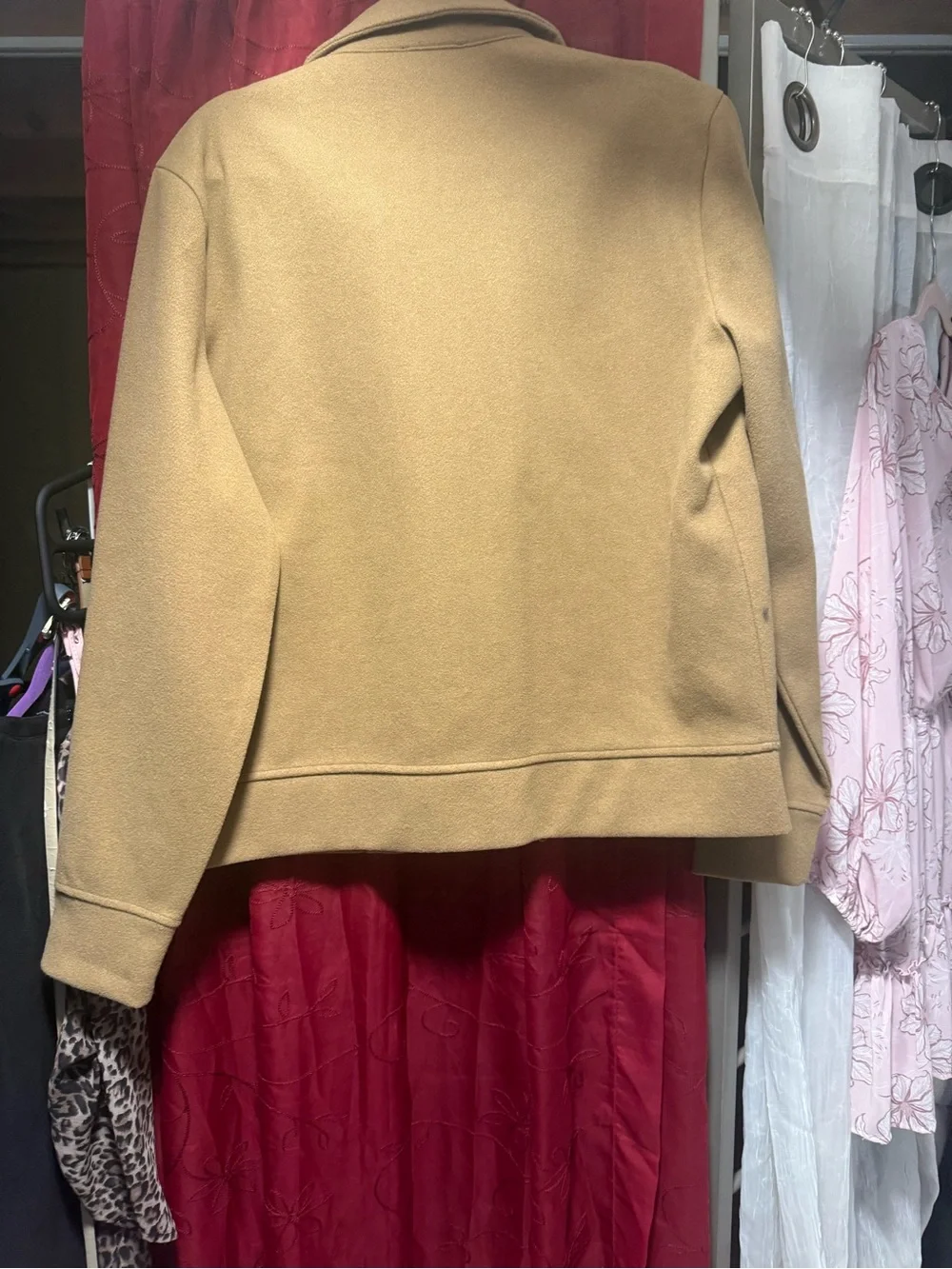 Express streamlined camel